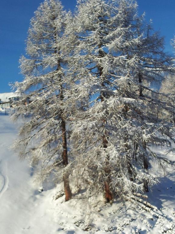 Ferienwohnung Familie Wieser Altenmarkt im Pongau Esterno foto